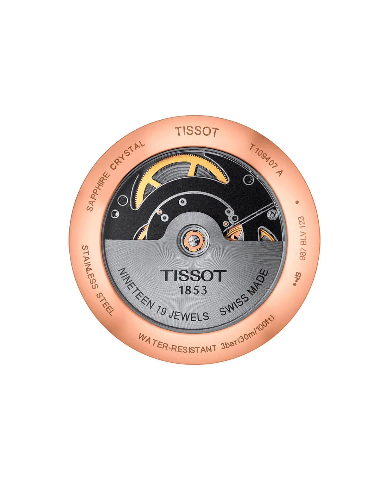 Наручные часы Tissot T-Classic T1094073603100